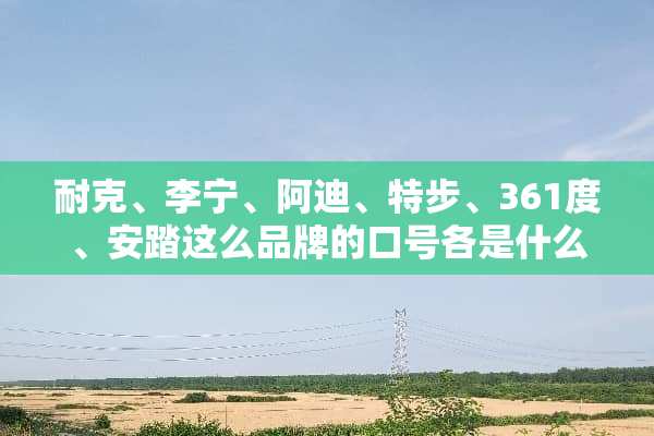 耐克、李宁、阿迪、特步、361度、安踏这么品牌的口号各是什么？