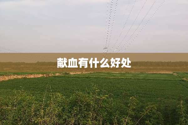 献血有什么好处