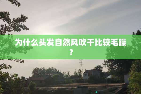 为什么头发自然风吹干比较毛躁？