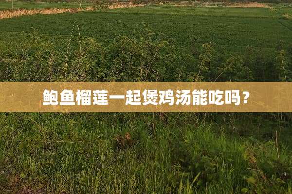 **榴莲一起煲鸡汤能吃吗？