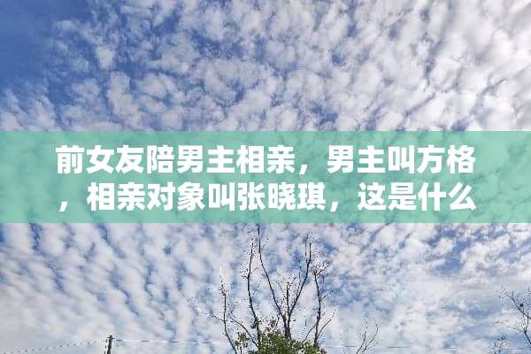 前女友陪男主相亲，男主叫方格，相亲对象叫张晓琪，这是什么电视剧？