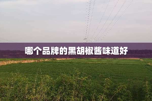 哪个品牌的黑胡椒酱味道好