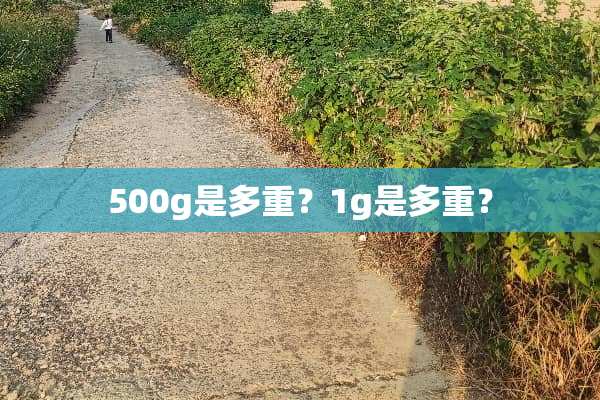 500g是多重？1g是多重？
