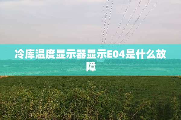 冷库温度显示器显示E04是什么故障