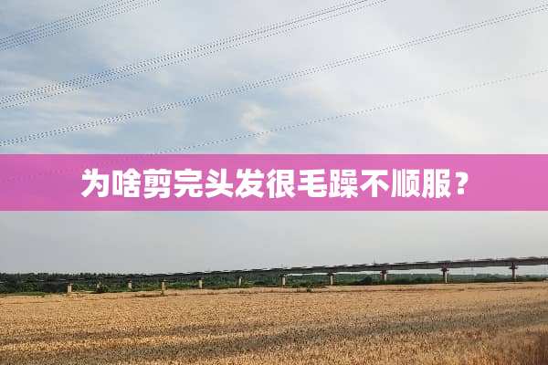 为啥剪完头发很毛躁不顺服？