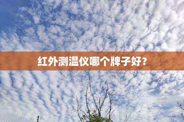 红外测温仪哪个牌子好？