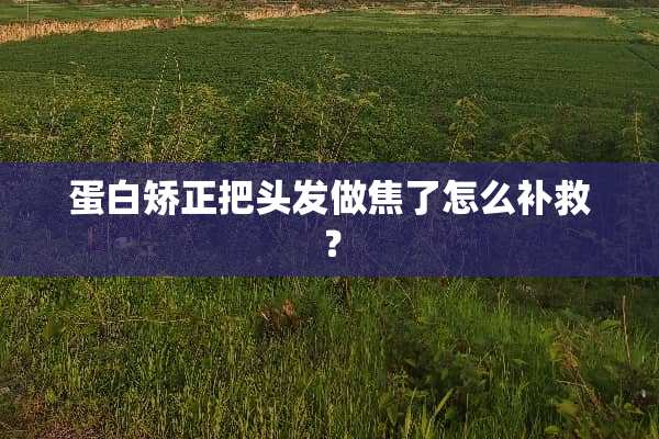 蛋白矫正把头发做焦了怎么补救？