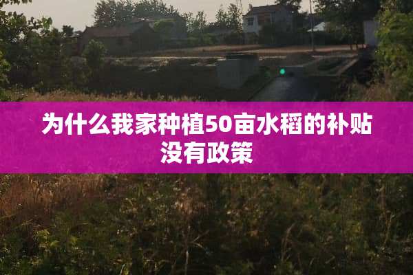 为什么我家种植50亩水稻的补贴没有政策