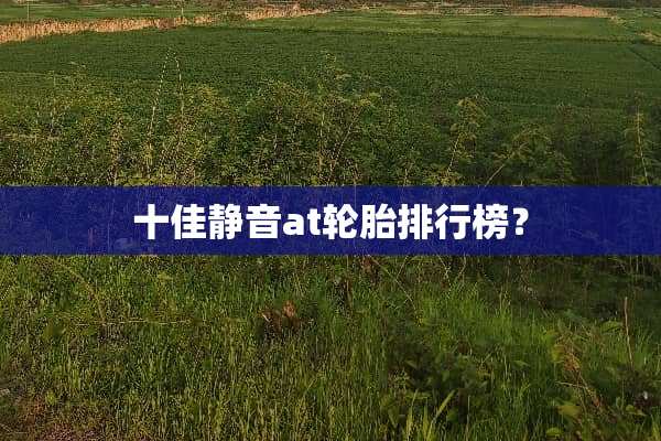 十佳静音at轮胎排行榜？