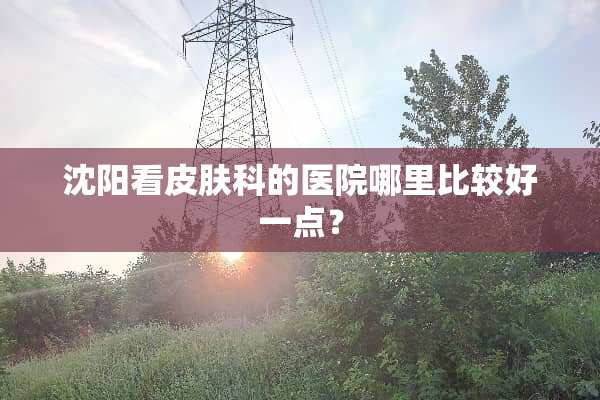 沈阳看皮肤科的医院哪里比较好一点？