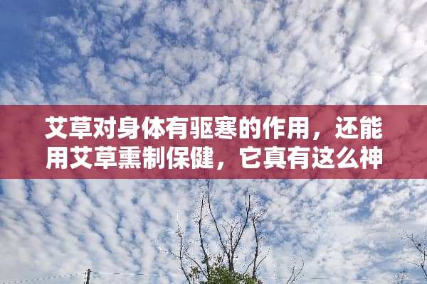 艾草对身体有驱寒的作用，还能用艾草熏制保健，它真有这么神奇吗？
