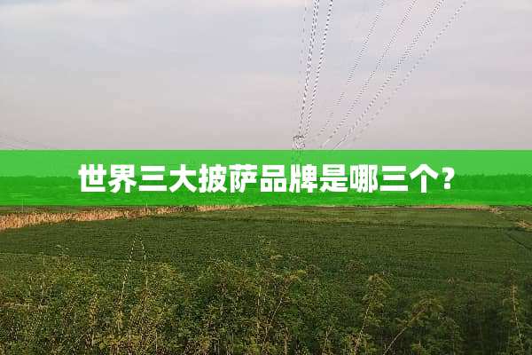 世界三大披萨品牌是哪三个？