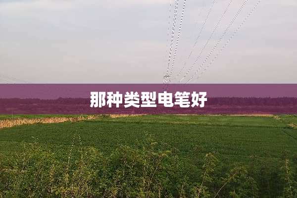 那种类型电笔好