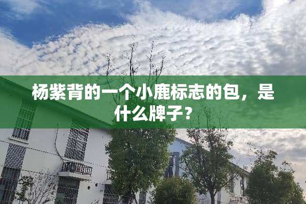 杨紫背的一个小鹿标志的包，是什么牌子？
