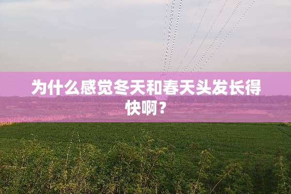 为什么感觉冬天和春天头发长得快啊？