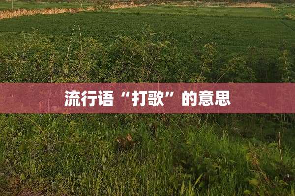 流行语“打歌”的意思