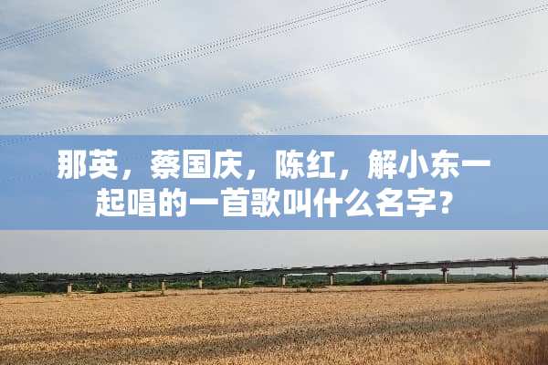 那英，蔡国庆，陈红，解小东一起唱的一首歌叫什么名字？