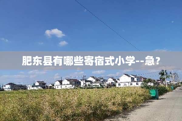 肥东县有哪些寄宿式小学--急？