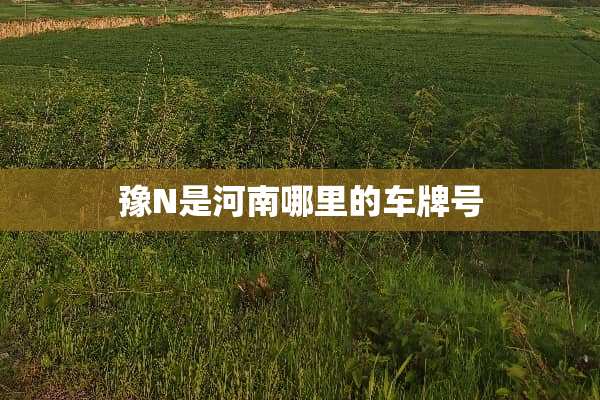 豫N是河南哪里的***