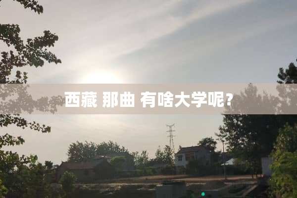 西藏 那曲 有啥大学呢？