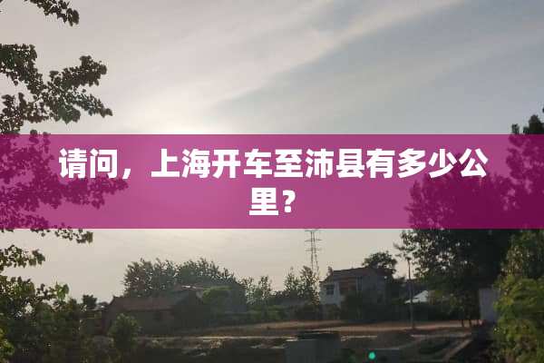 请问，上海开车至沛县有多少公里？