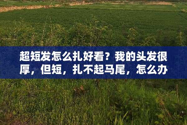 超短发怎么扎好看？我的头发很厚，但短，扎不起马尾，怎么办？