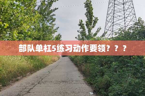 **单杠5练习动作要领？？？