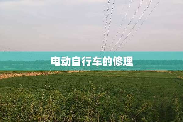 电动自行车的修理