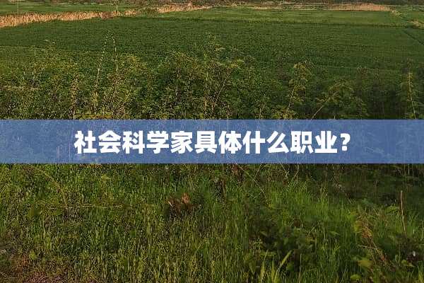 社会科学家具体什么职业？