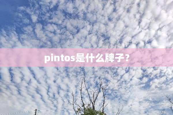 pintos是什么牌子？