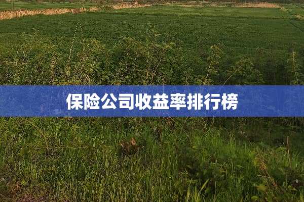 保险公司收益率排行榜