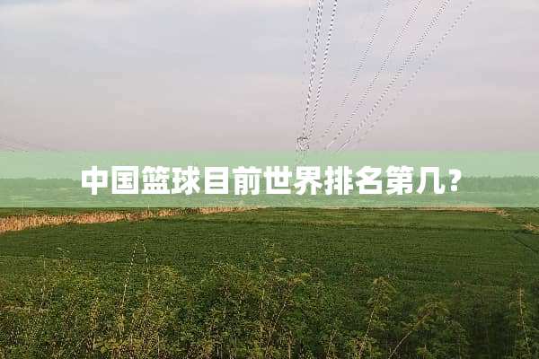 中国篮球目前世界排名第几？