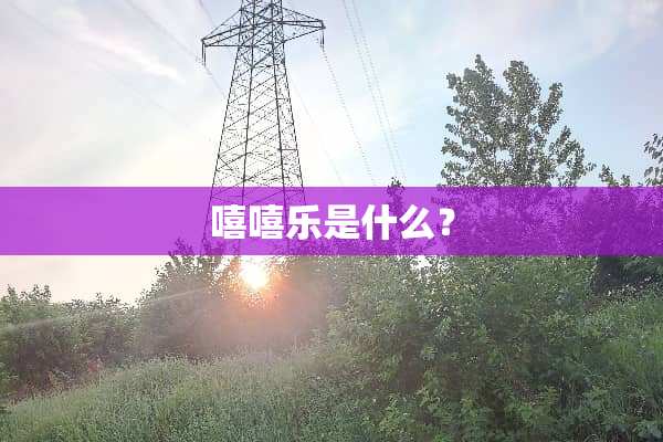 嘻嘻乐是什么？