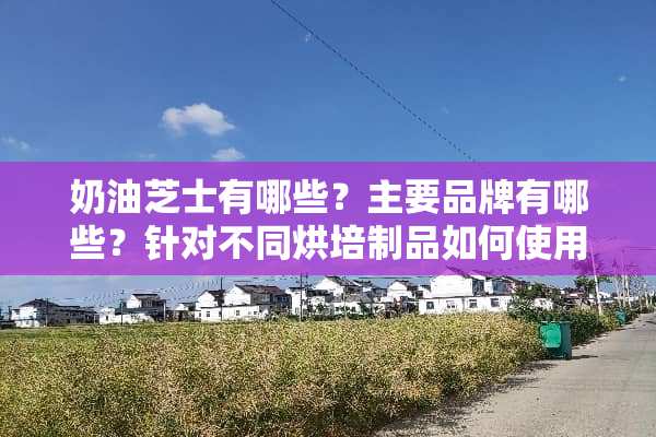 奶油芝士有哪些？主要品牌有哪些？针对不同烘培制品如何使用？