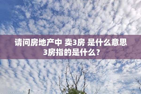 请问房地产中 卖3房 是什么意思 3房指的是什么？