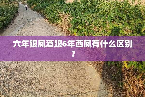 六年银凤酒跟6年西凤有什么区别？