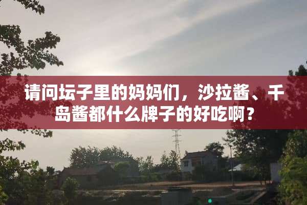 请问坛子里的妈妈们，沙拉酱、千岛酱都什么牌子的好吃啊？