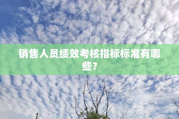 销售人员绩效考核指标标准有哪些？