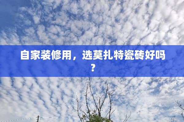 自家装修用，选莫扎特瓷砖好吗？