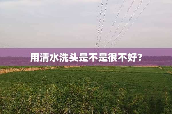 用清水洗头是不是很不好？