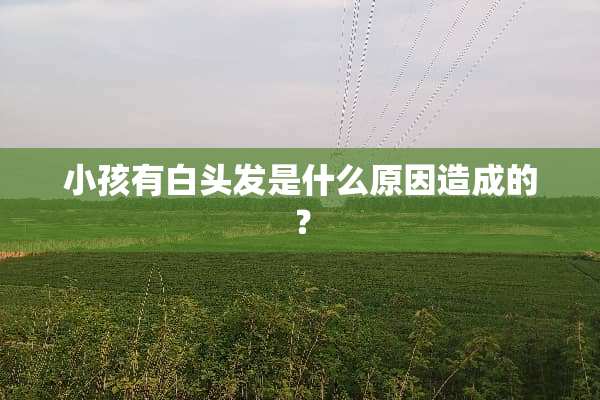 小孩有白头发是什么原因造成的？