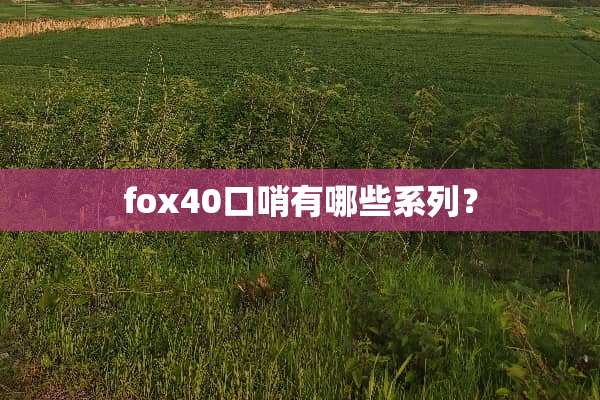 fox40口哨有哪些系列？