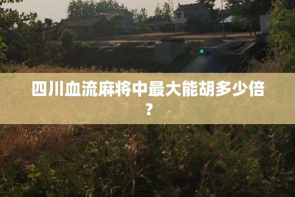四川血流**中最大能胡多少倍？