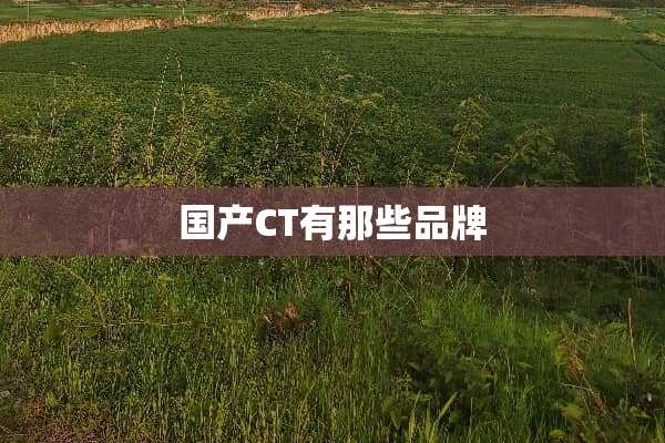 国产CT有那些品牌
