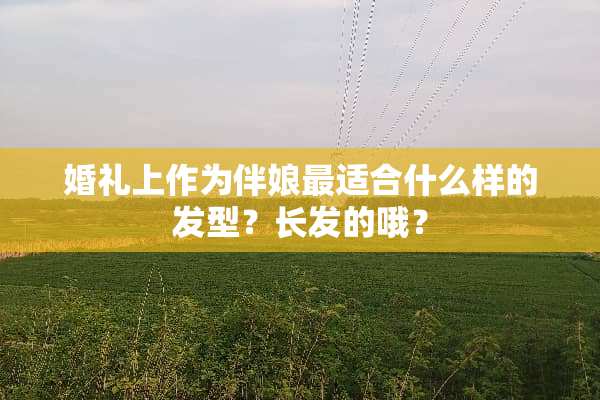 婚礼上作为伴娘最适合什么样的发型？长发的哦？