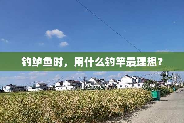 钓鲈鱼时，用什么钓竿最理想？