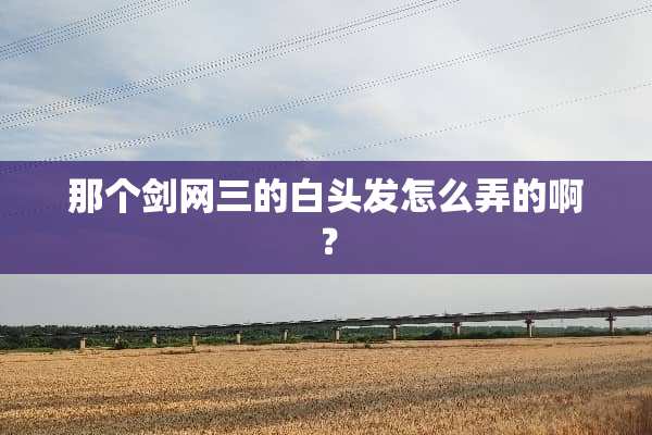 那个剑网三的白头发怎么弄的啊？