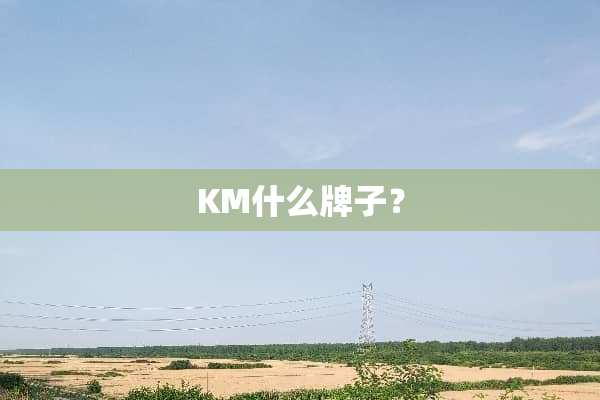 KM什么牌子？