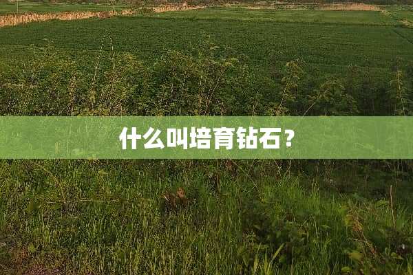 什么叫培育钻石？