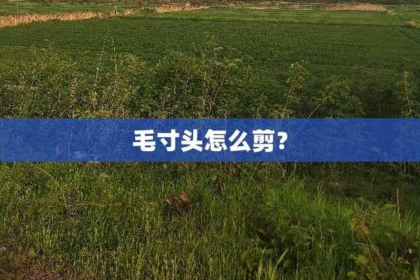 毛寸头怎么剪？